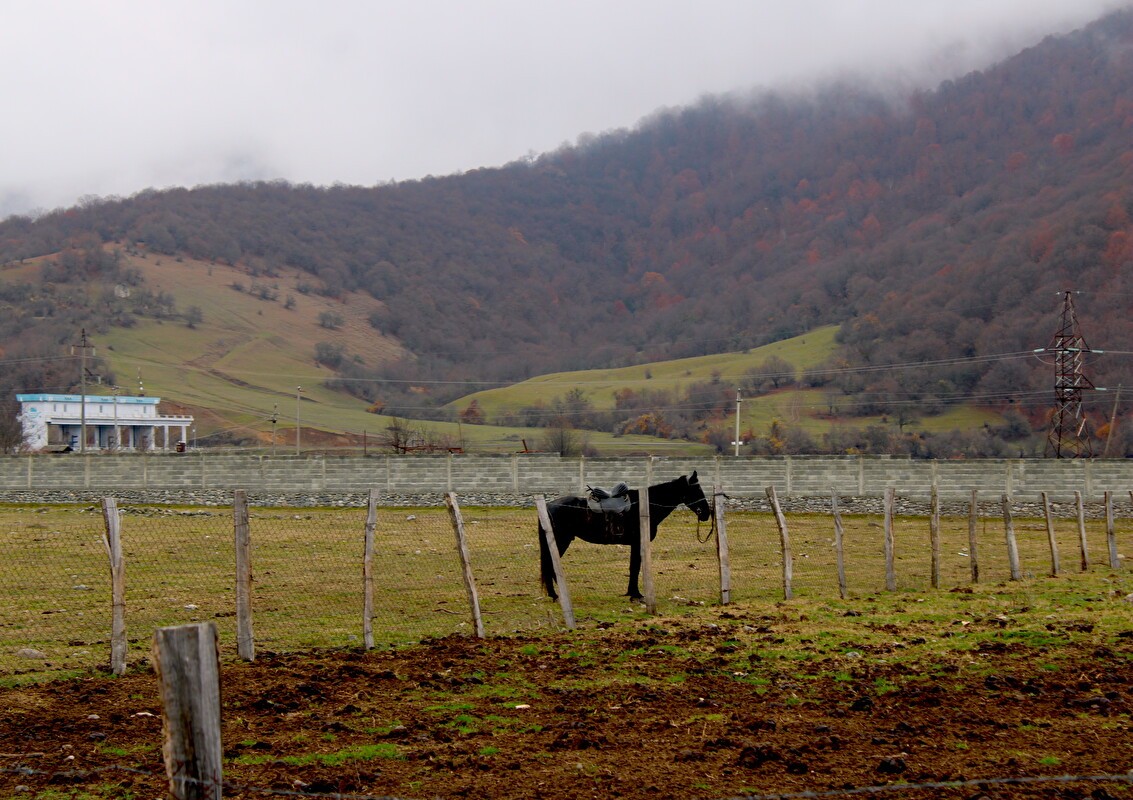 Pankisi Through My Eyes